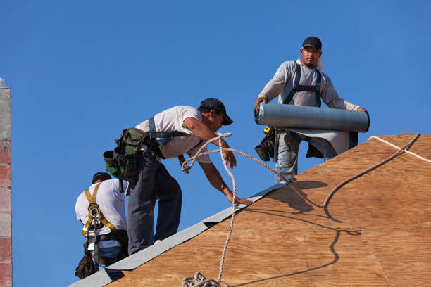 Professional Roofing Contractor in Walnut Grove, GA