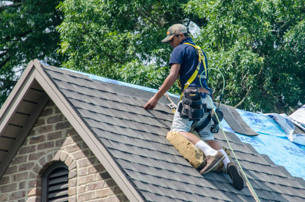 Best Roof Gutter Cleaning  in Walnut Grove, GA